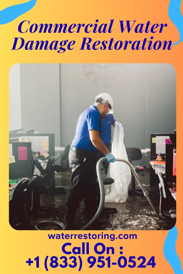 Commercial Water Damage Restoration in Manistee, MI