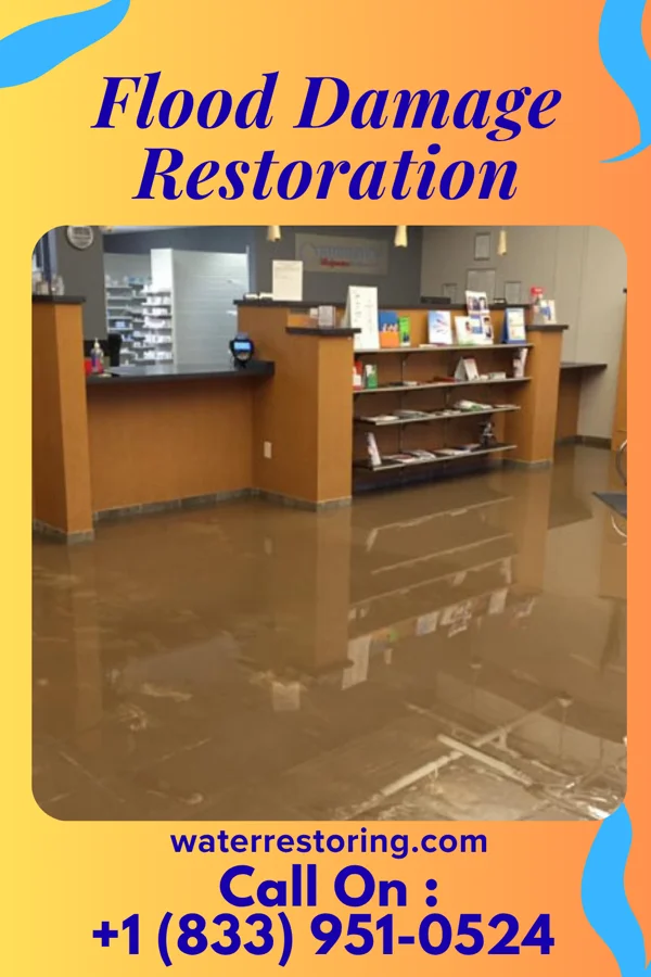 Flood Damage Restoration in Manistee, MI