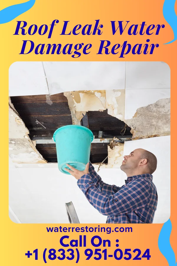 Roof Leak Water Damage Repair in Manistee, MI