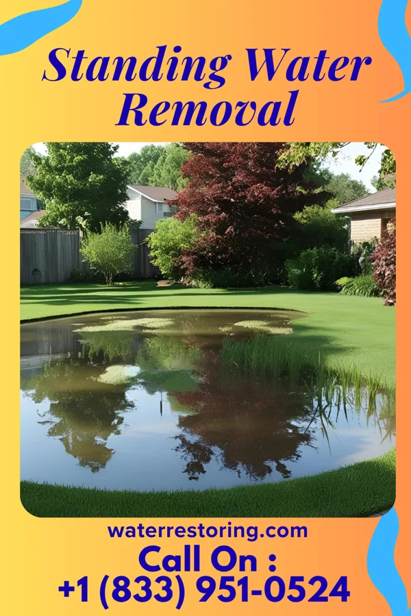 Standing Water Removal in Manistee, MI